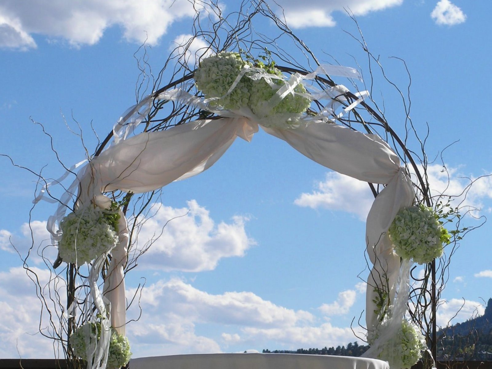 arch, arbor, gazebo, chappa  - Wedding Colorado