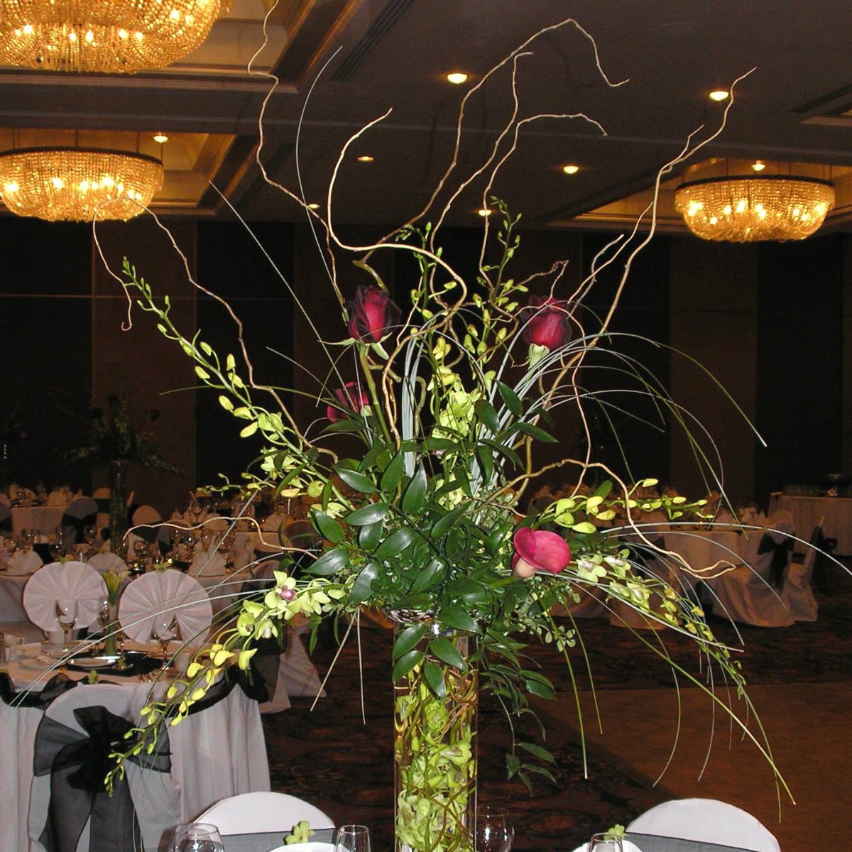 Antlers Hotel - Wedding Colorado