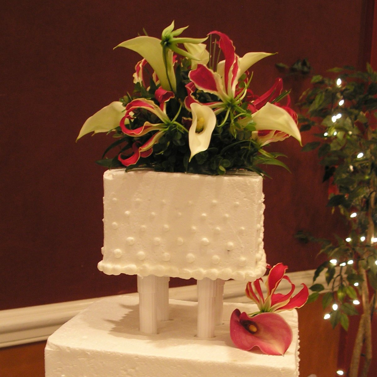 Antlers Hotel - Wedding Colorado