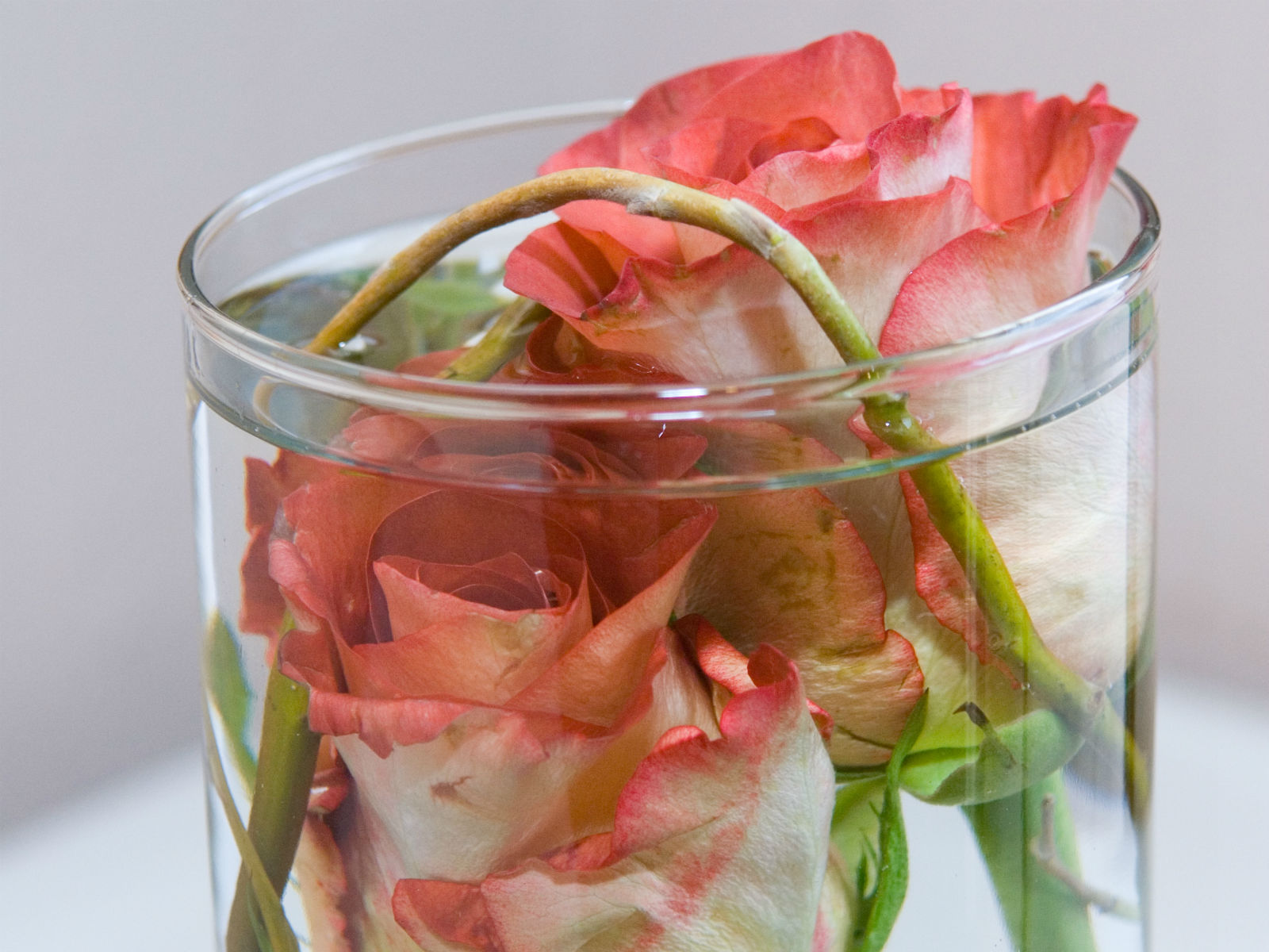 Briarhurst Manor - Wedding Flowers Colorado