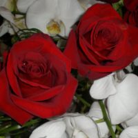 Briarhurst Manor - Wedding Florals Colorado