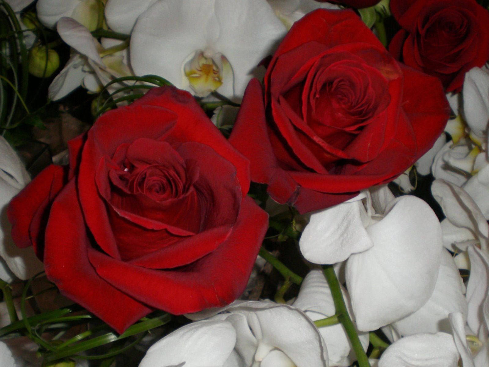 Briarhurst Manor - Wedding Florals Colorado