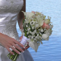 broadmoor hotel - Wedding Colorado