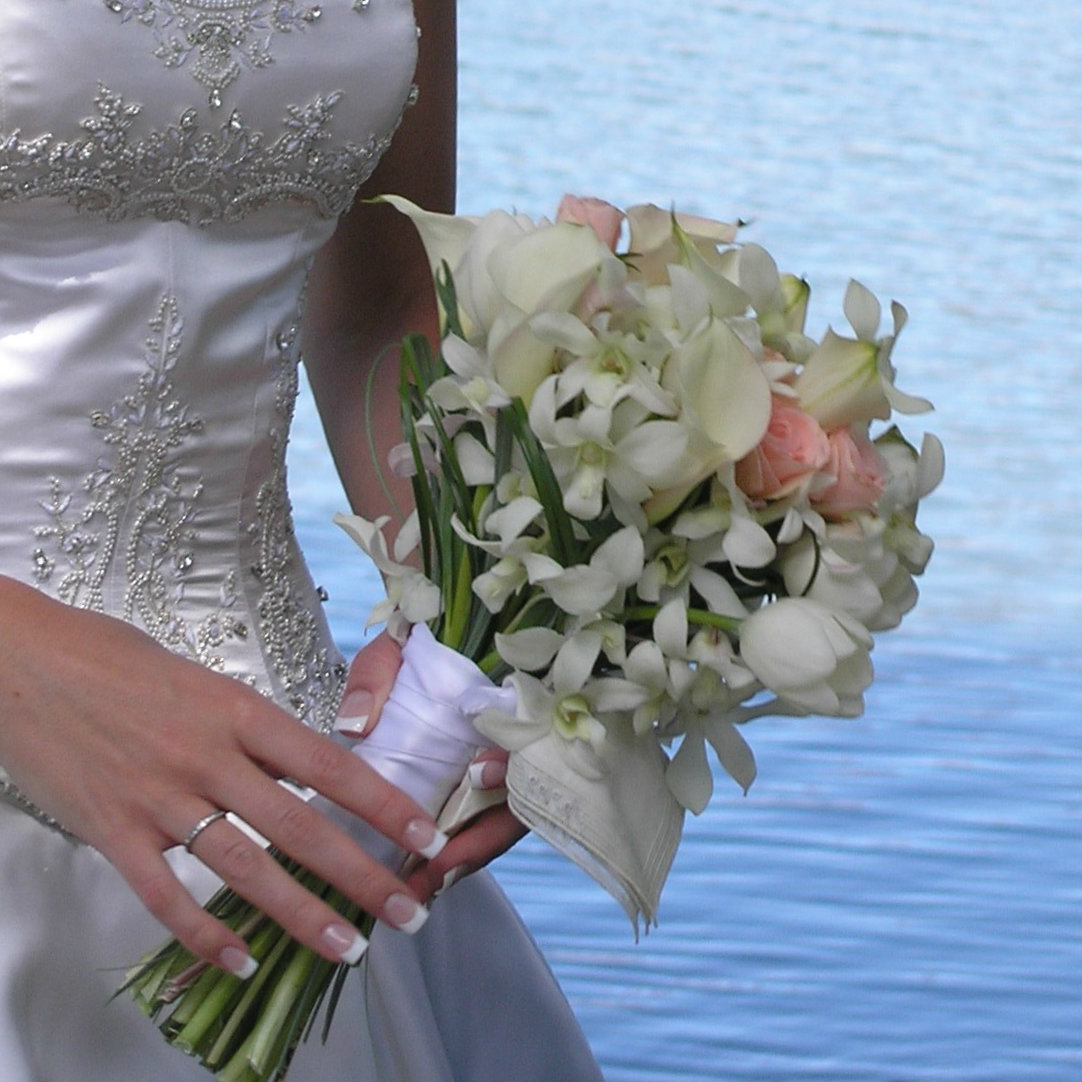 broadmoor hotel - Wedding Colorado