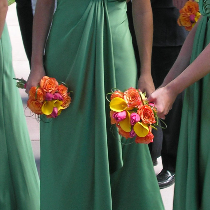 broadmoor hotel - Wedding Colorado