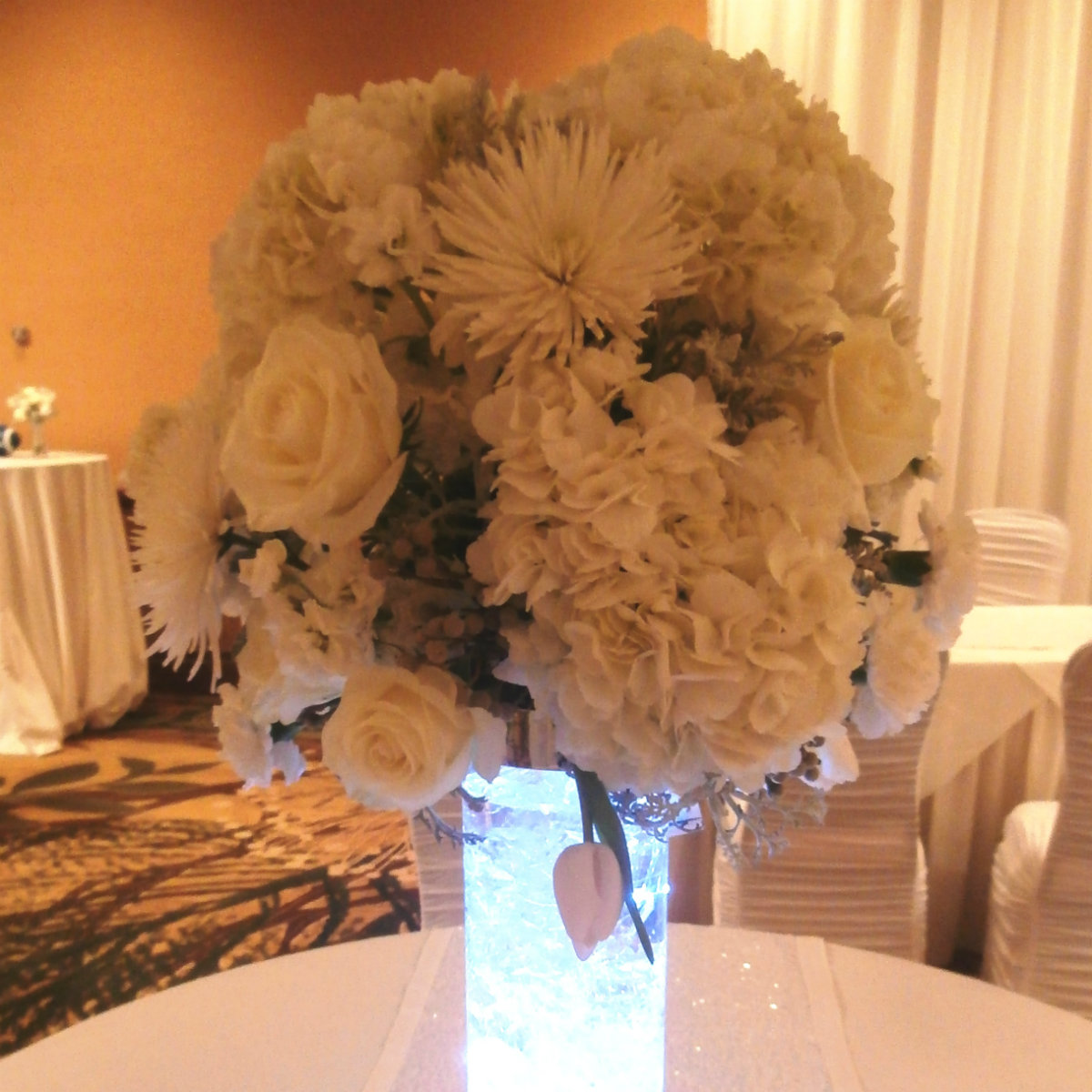 broadmoor hotel - Wedding Colorado