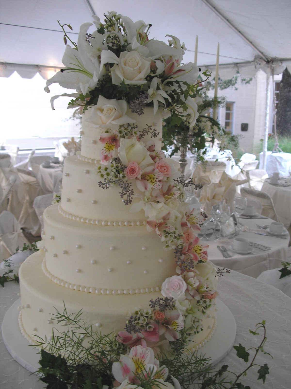 FAC - Wedding Colorado