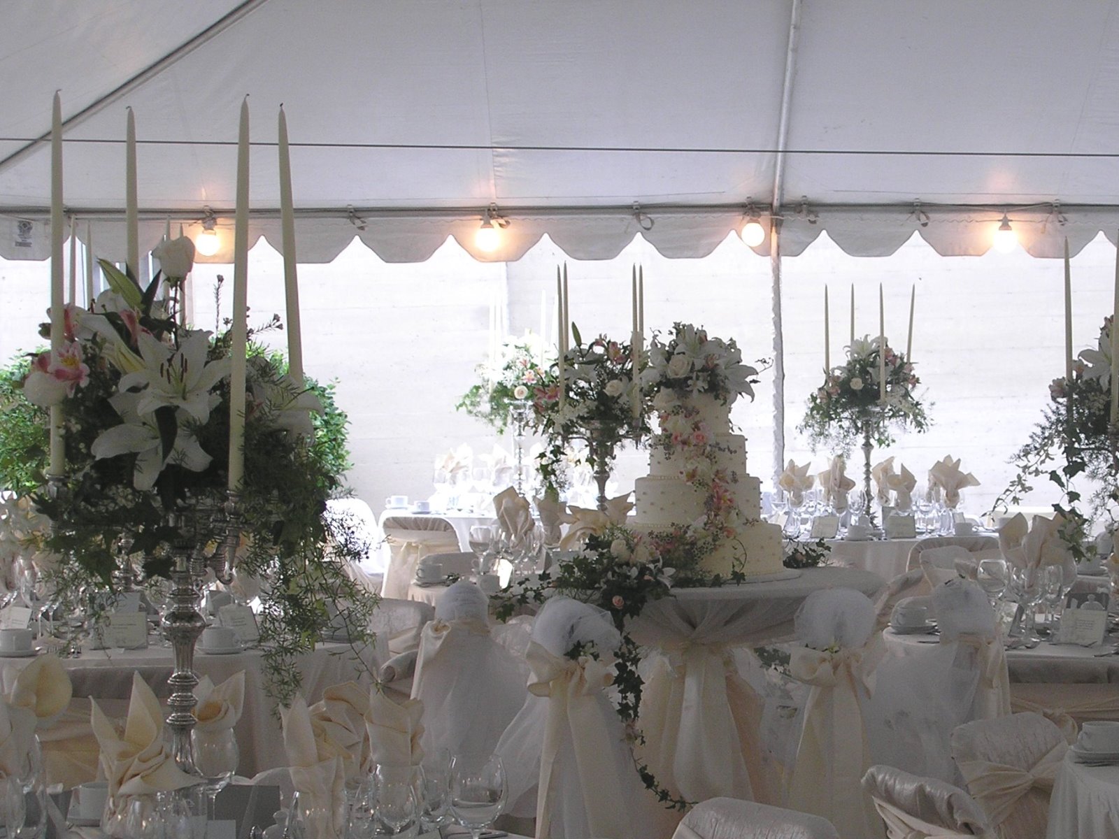 FAC - Wedding Colorado