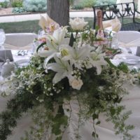 FAC - Wedding Colorado