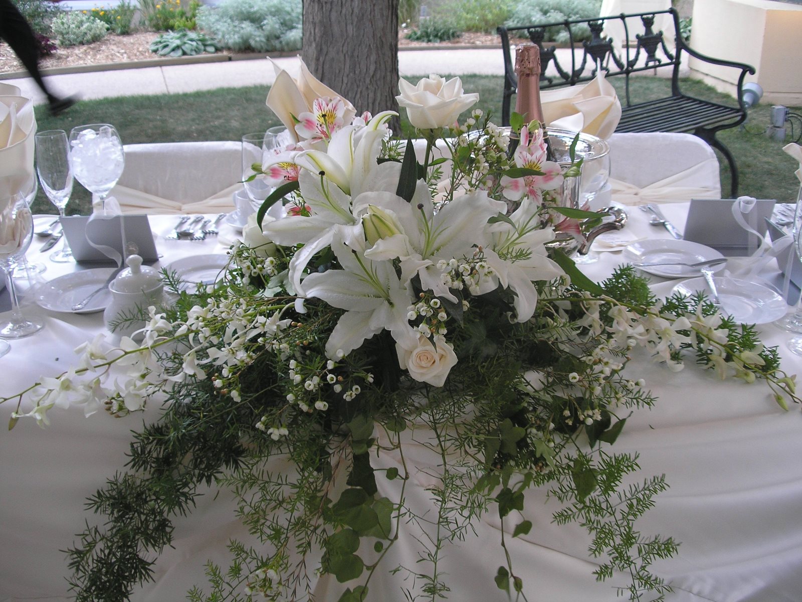 FAC - Wedding Colorado