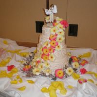Doubletree - Wedding Colorado