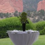 2008 - Wedding Colorado