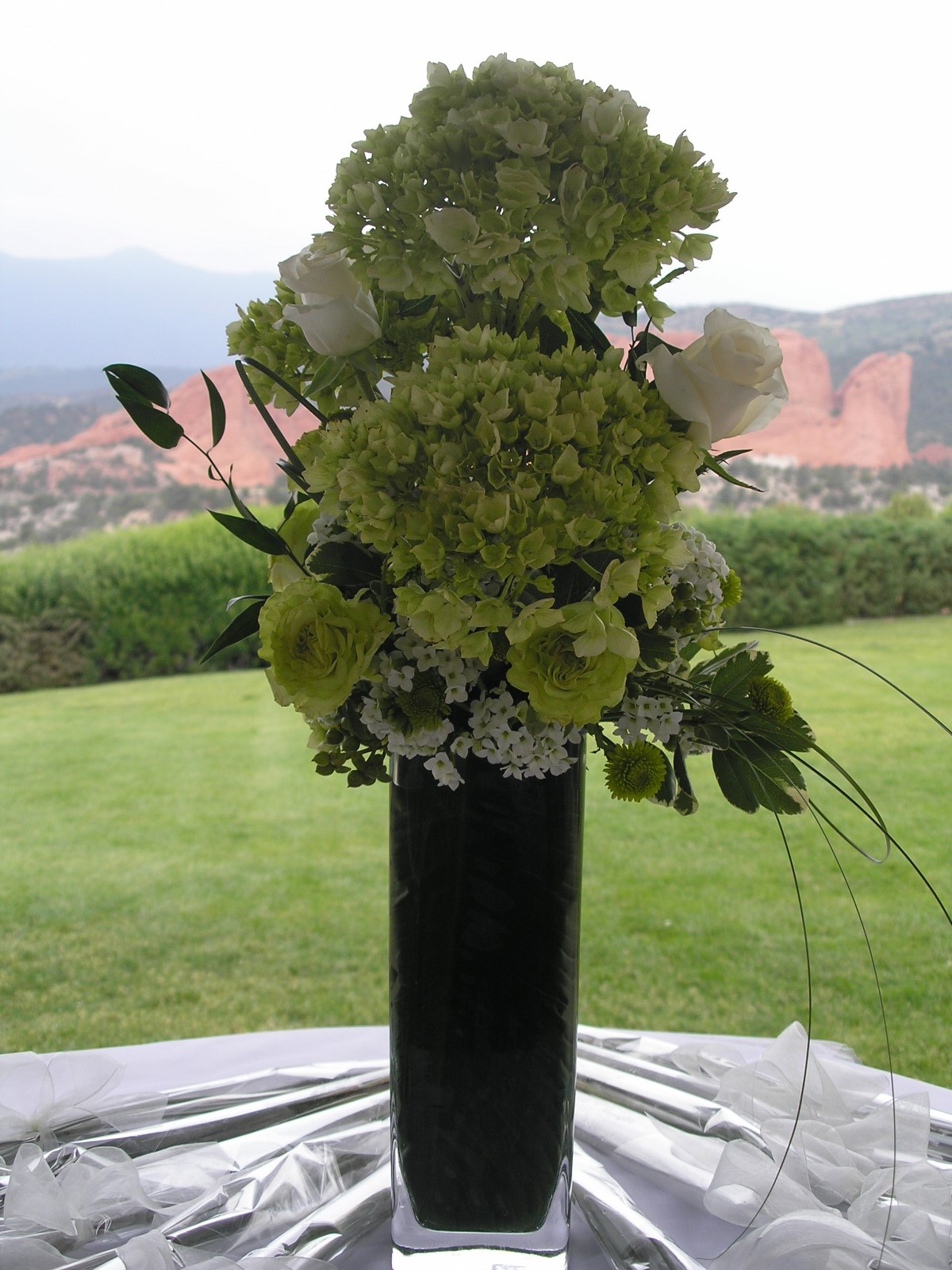 2008 - Wedding Colorado