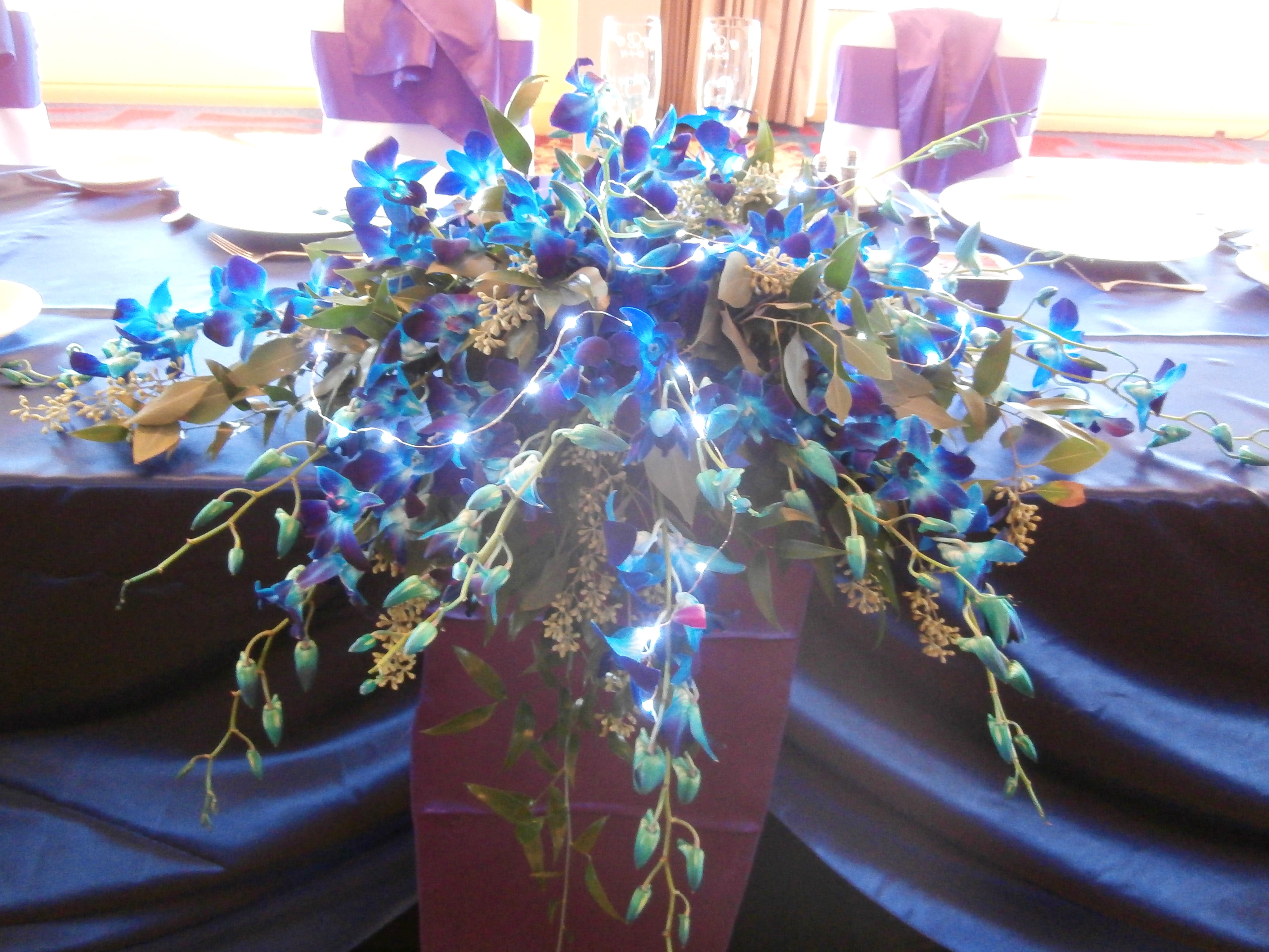 misc - Wedding Colorado