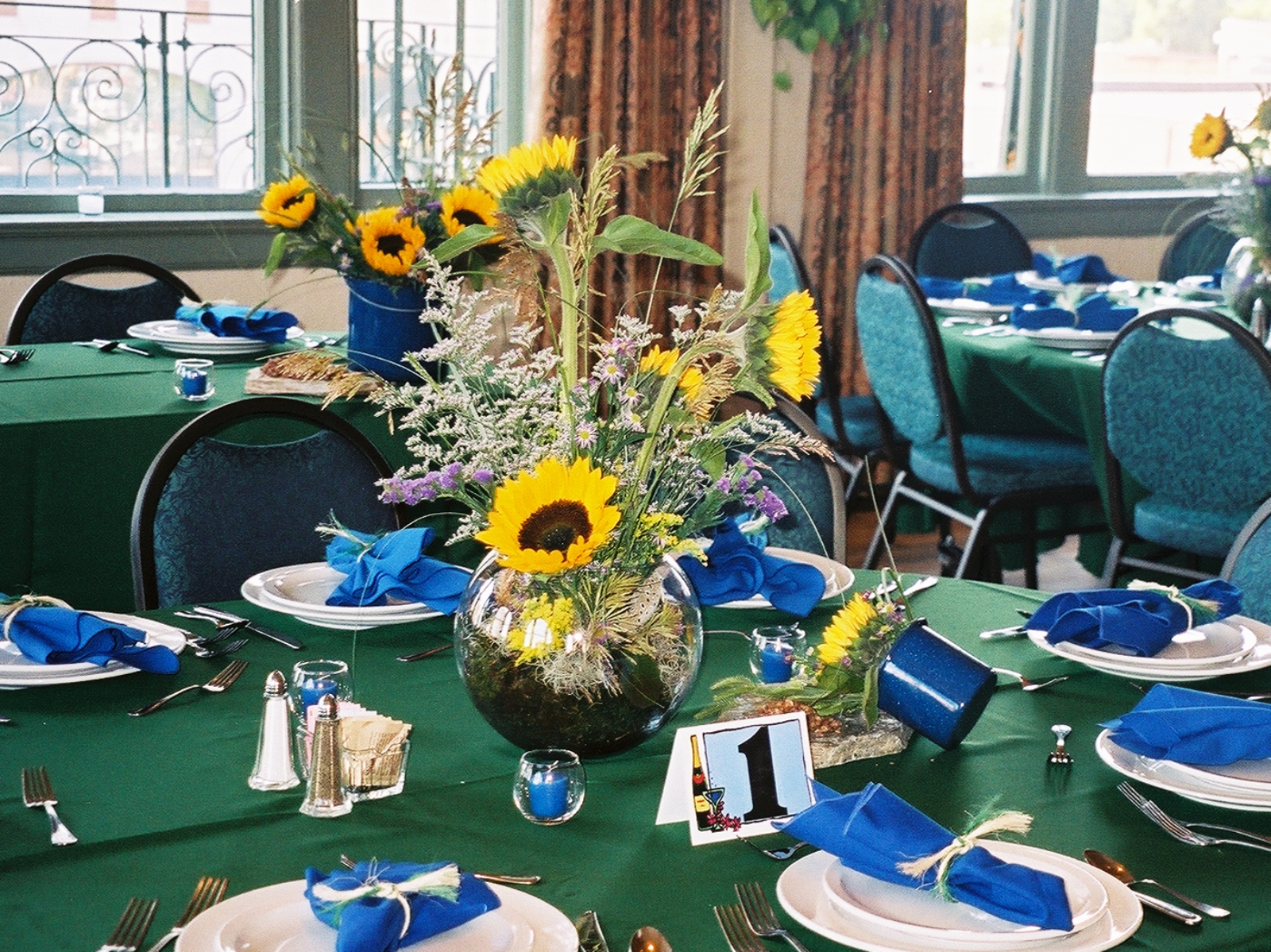 phantom canyon - Wedding Reception Colorado