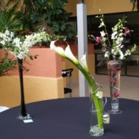 wedding centerpiece - Florist Colorado
