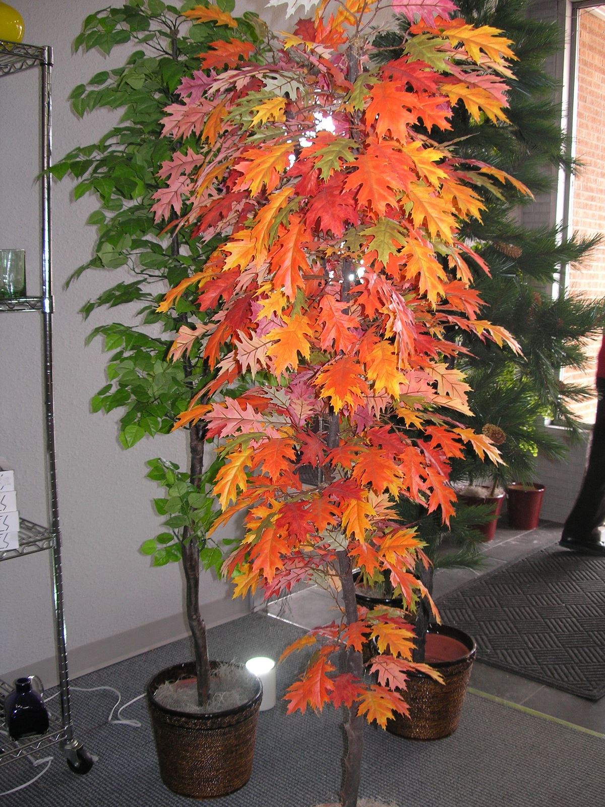 destination services - Flowers Colorado