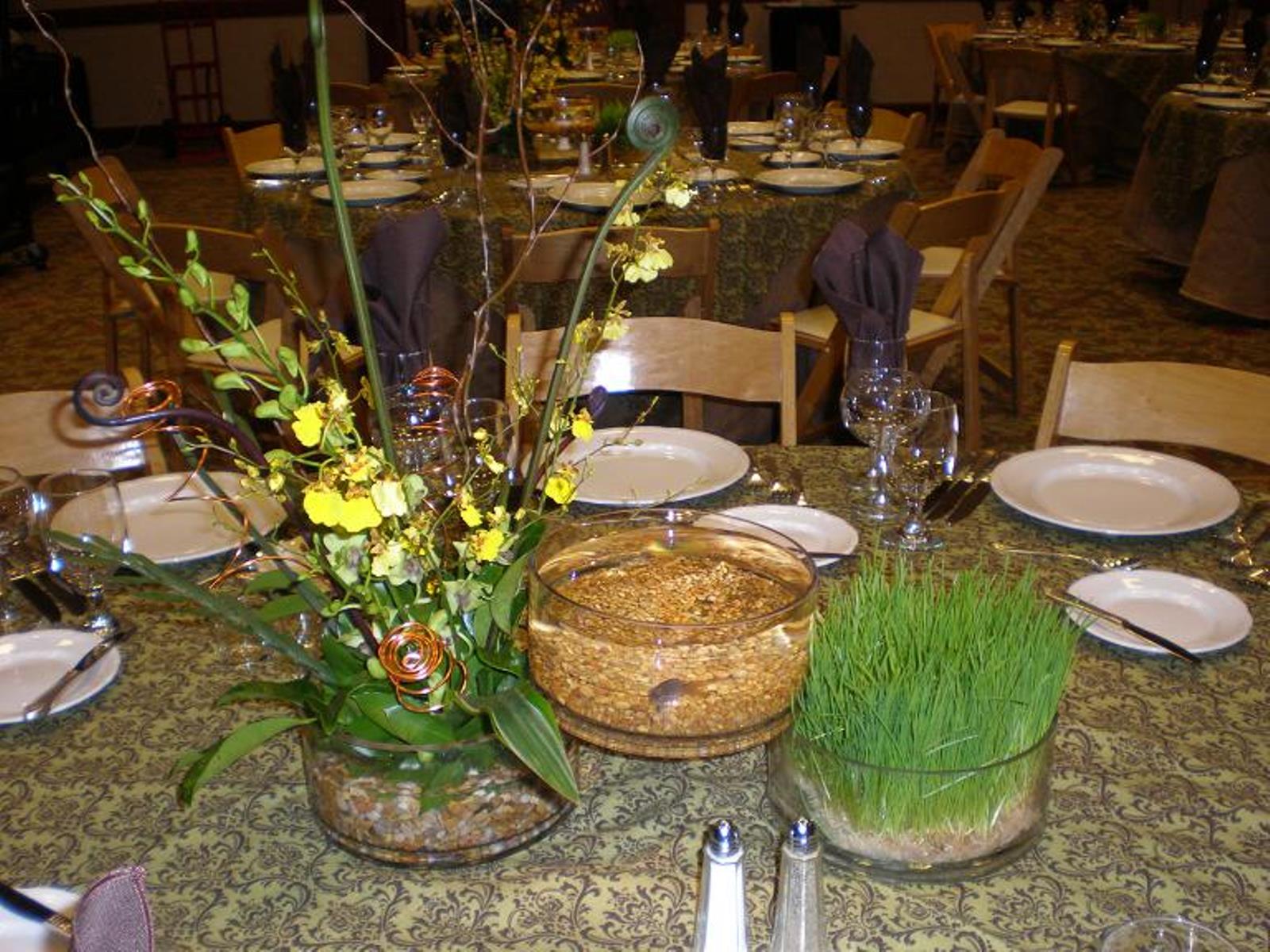 Cheyenne Mt. Resort- Flowers Colorado
