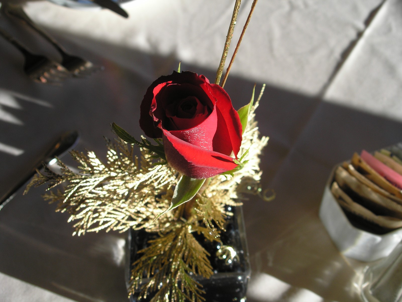 New Years Eve - Cheyenne Mountain Resort