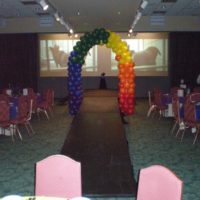 Fur Ball - Florist Colorado