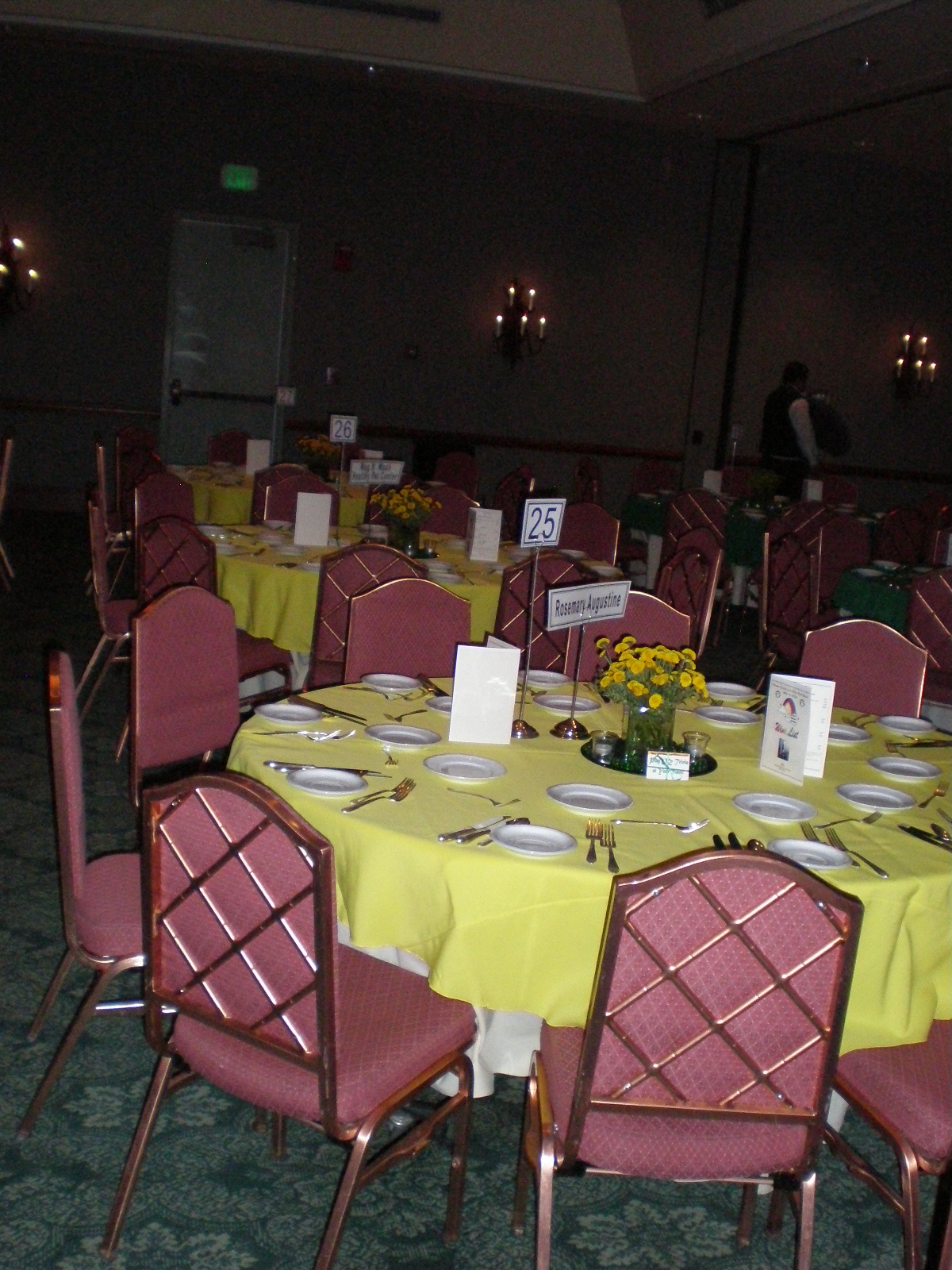 Fur Ball  - Florist Colorado
