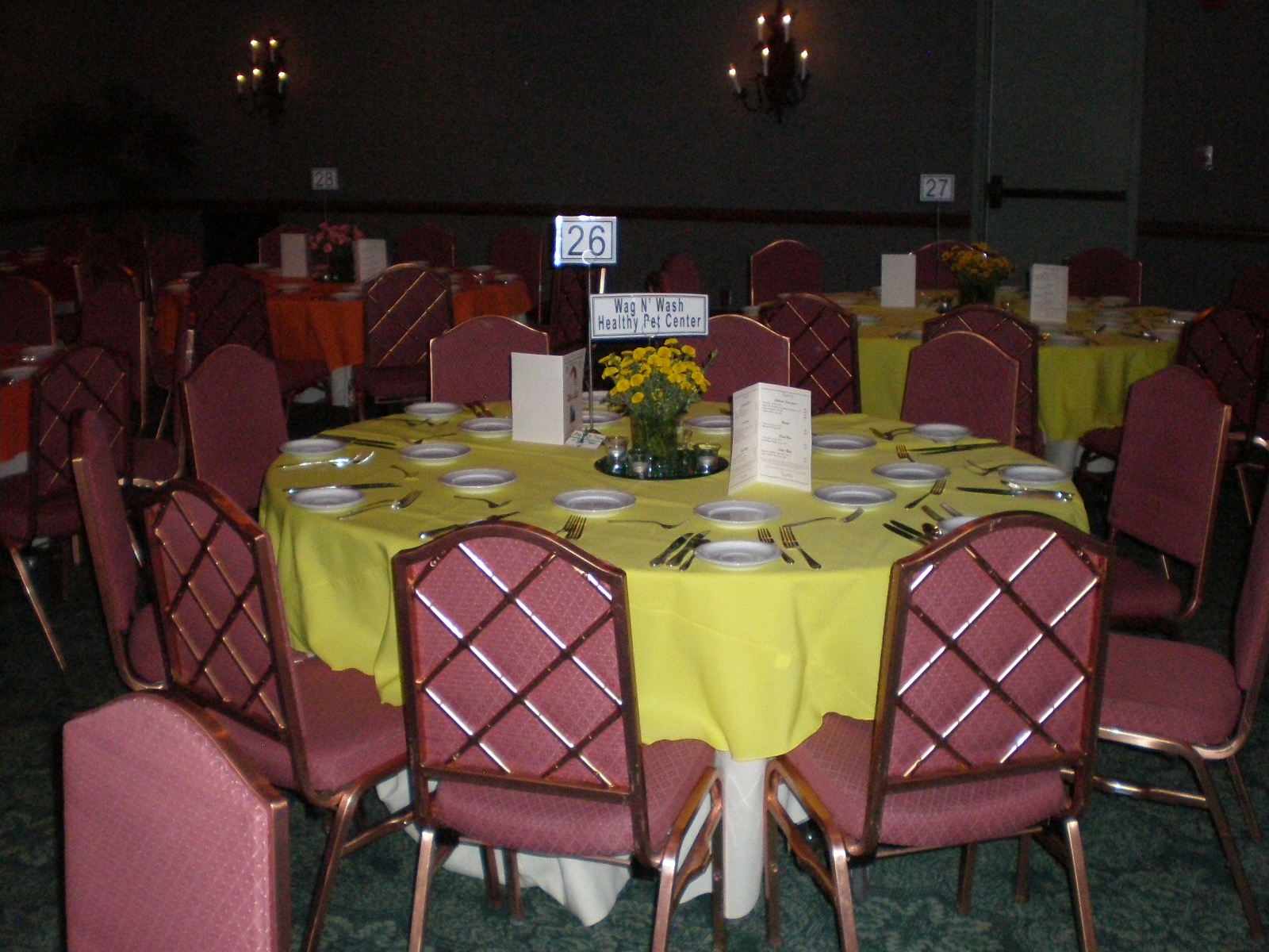 Fur Ball  - Florist Colorado